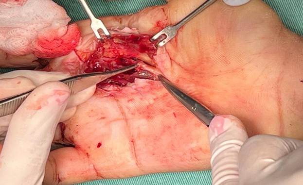 Imagen que contiene persona, interior, corte, mujer

El contenido generado por IA puede ser incorrecto.